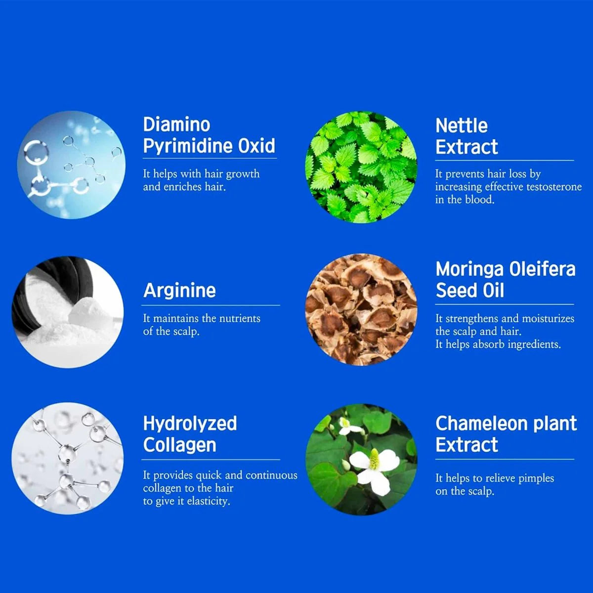 Dr. All Holiday Special Gift Set